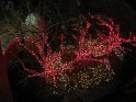 Toledo Zoo Lights 2008 030